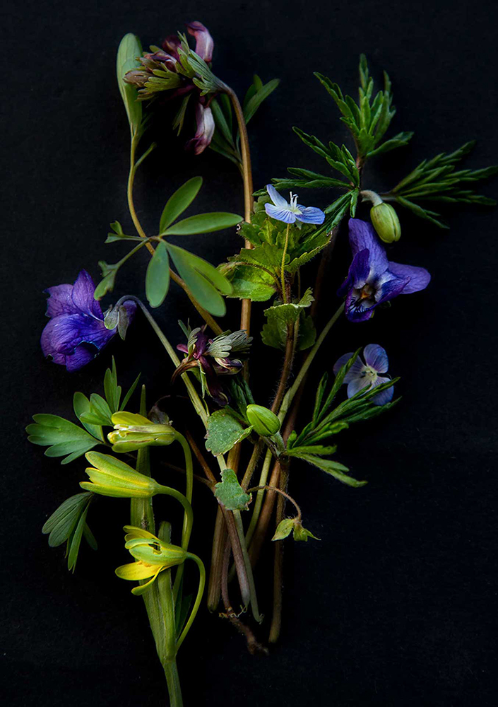 Första vårbuketten