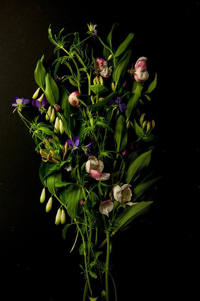 Bukett sena vårblommor